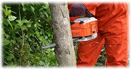 CS2500.8.jpg اره زنجیری بنزینی کوچک CS2500 Richope small Chainsaw