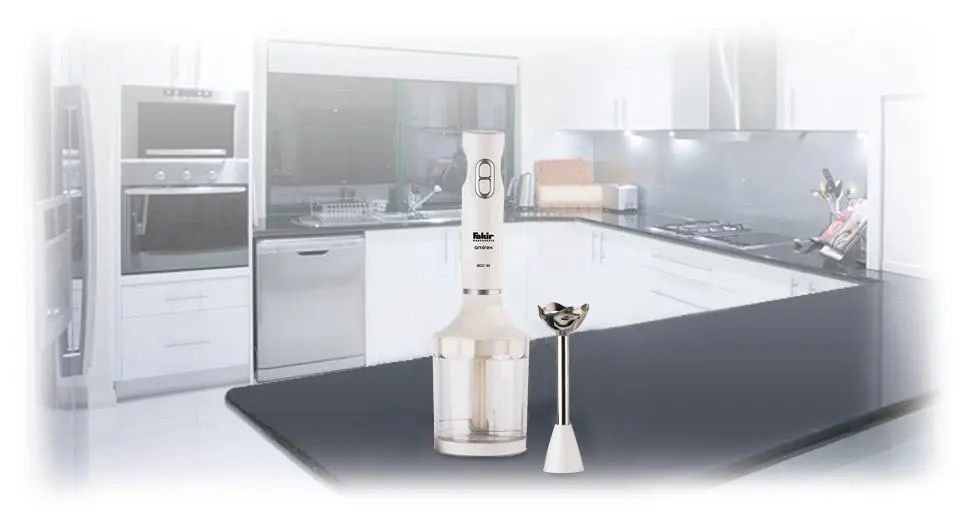 3 قیمت گوشت کوب برقی فکر Andora Fakir Hand Blender Andora 4 .jpg قیمت گوشت کوب برقی فکر Andora Fakir Hand Blender