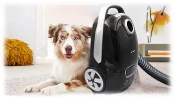 جارو برقی دلمونتی 2400 وات مدل DELMONTI VACUUM CLEANER DL325