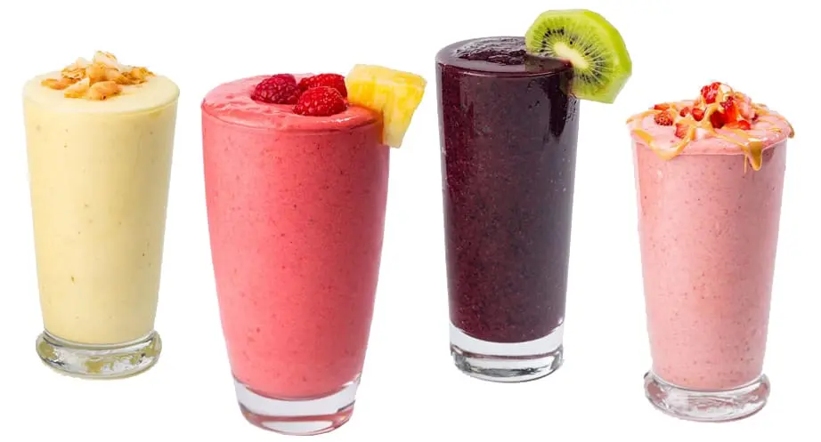 مخلوط کن فکر 900 وات مگا میکس Megamix Fakir Blender