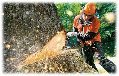 اره زنجیری برقی زوبر Kzubr 2800BT Eelctric Chainsaw