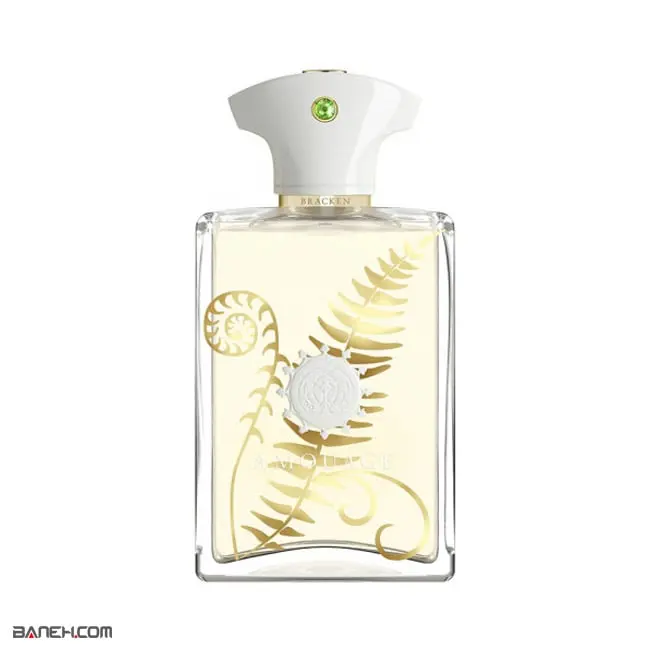 brachen man 3 1.jpg عطر مردانه آمواج براکن 55 میل Amouage Bracken Man D&P