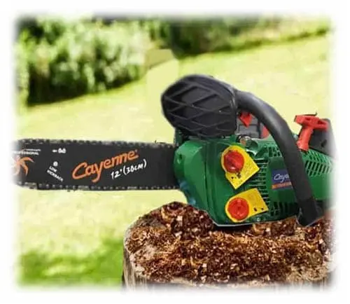 اره متوری و اره زنجیری برقی 250 وات کاین cayenne 250-2.0