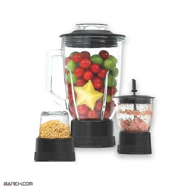 آبمیوه گیری دلمونتی 4 کاره DL360 Delmonti Digital Juicer & Blender