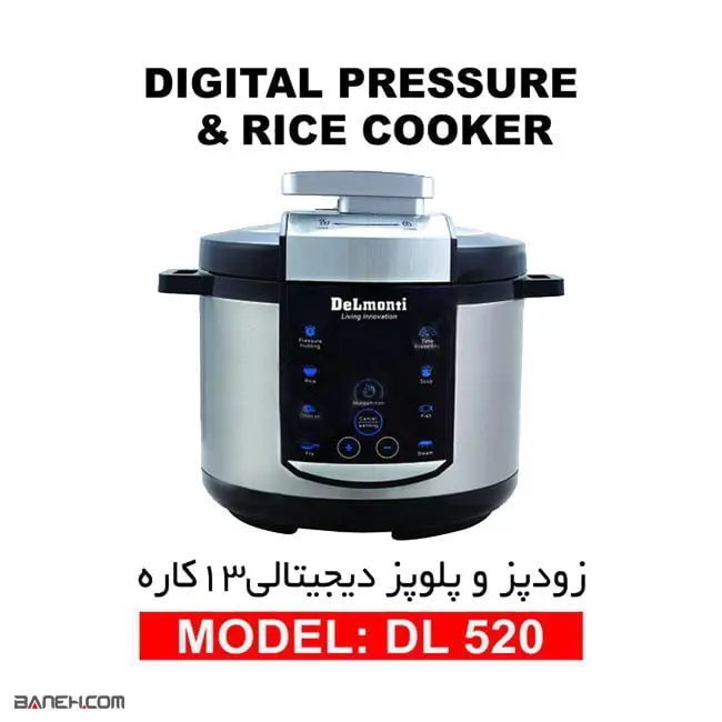 پلوپز دلمونتی 13 کاره DL520 Delmonti Pressure & Rice Cooker