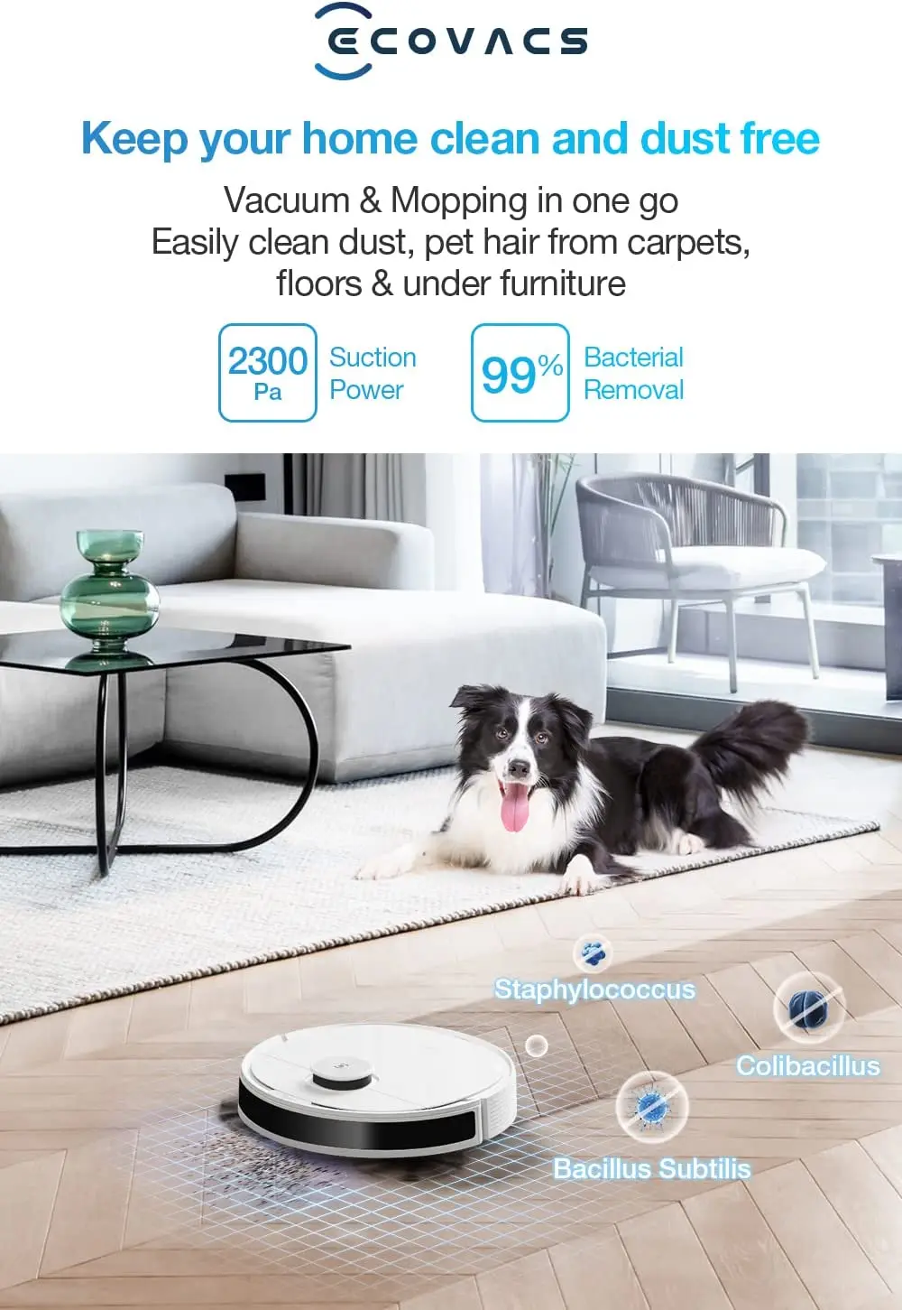 جارو برقی رباتیک اکووکس مدل ‎ ECOVACS DEEBOT N8 DLN26-21EP