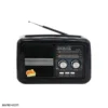 rx 978 2 1 رادیو ضبط و اسپیکر گولون RX-978 Golon RADIO