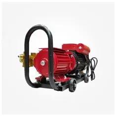 کارواش صنعتی سینگل 2200 وات Single YL100L