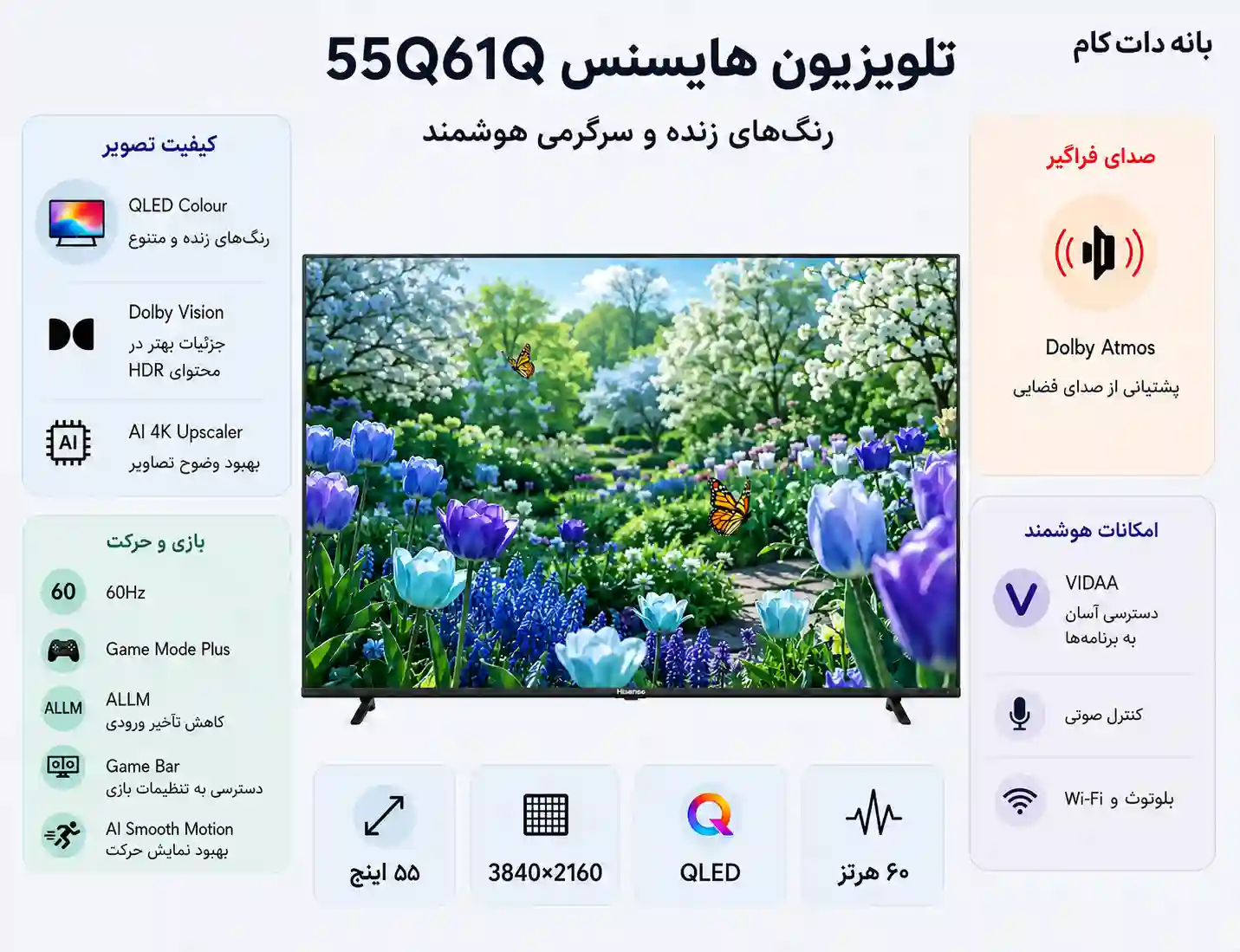55Q61Q