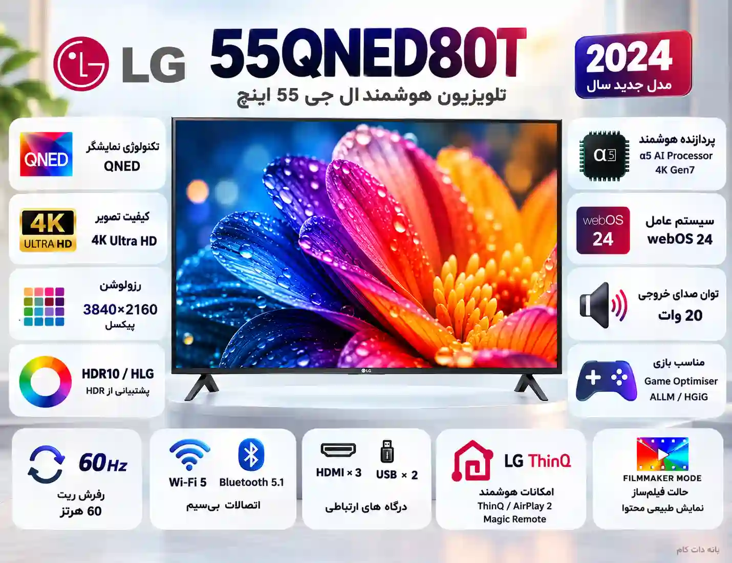 مشخصات تلویزیون ال جی 55QNED80T 