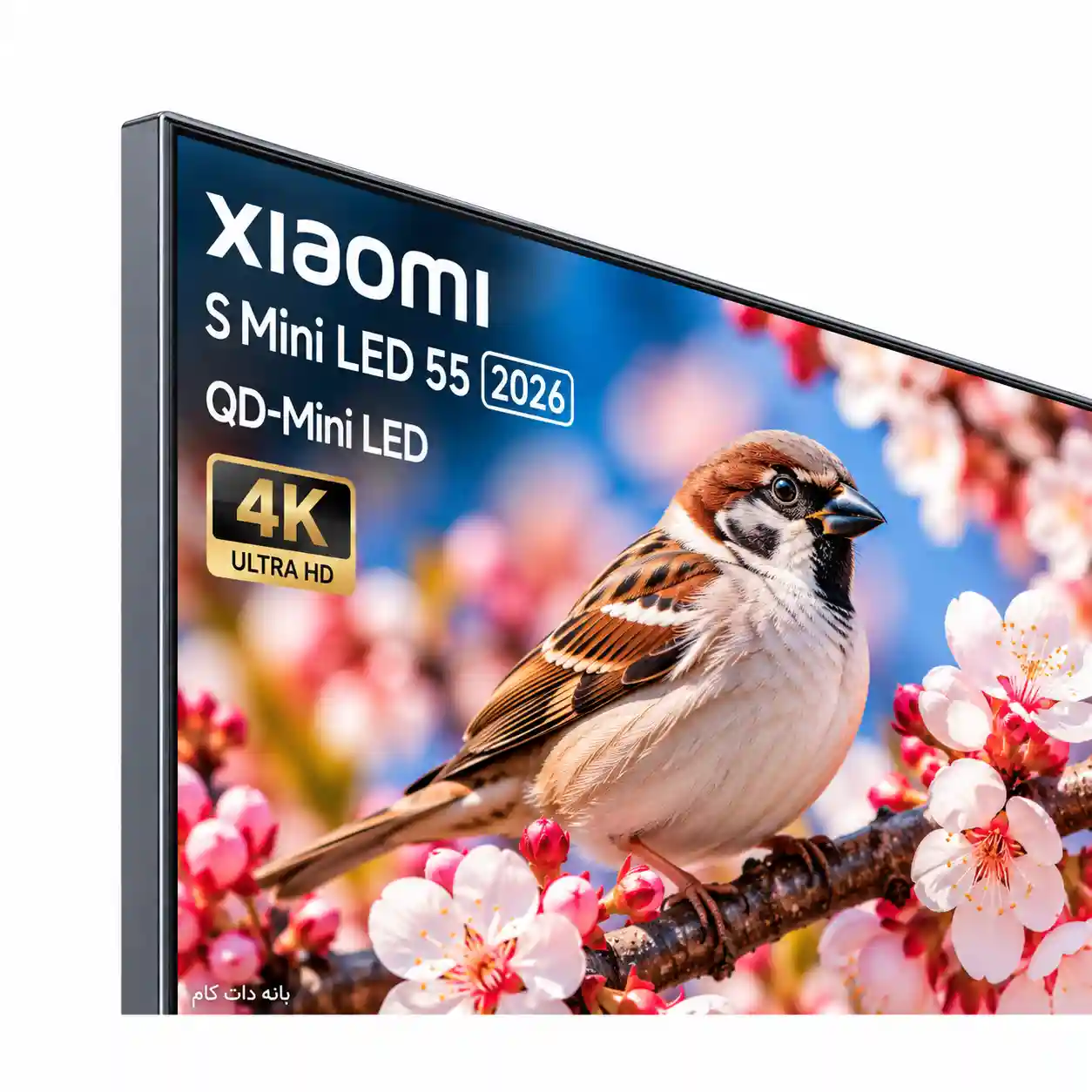 تلویزیون شیائومی 55S MINI 2026