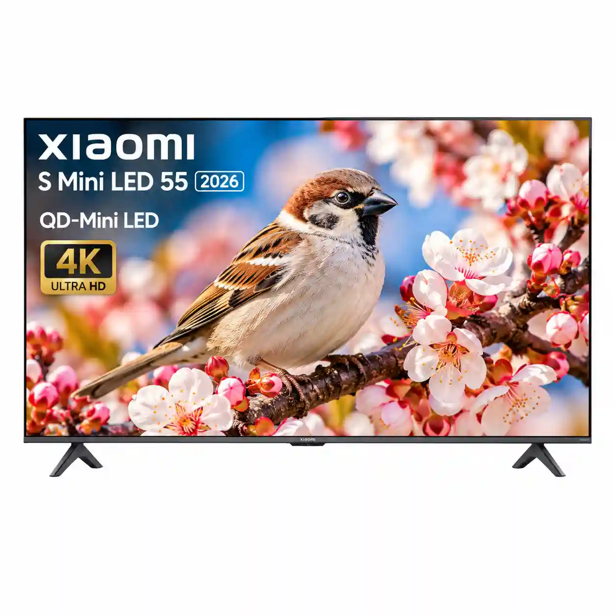تلویزیون شیائومی 55S MINI 2026
