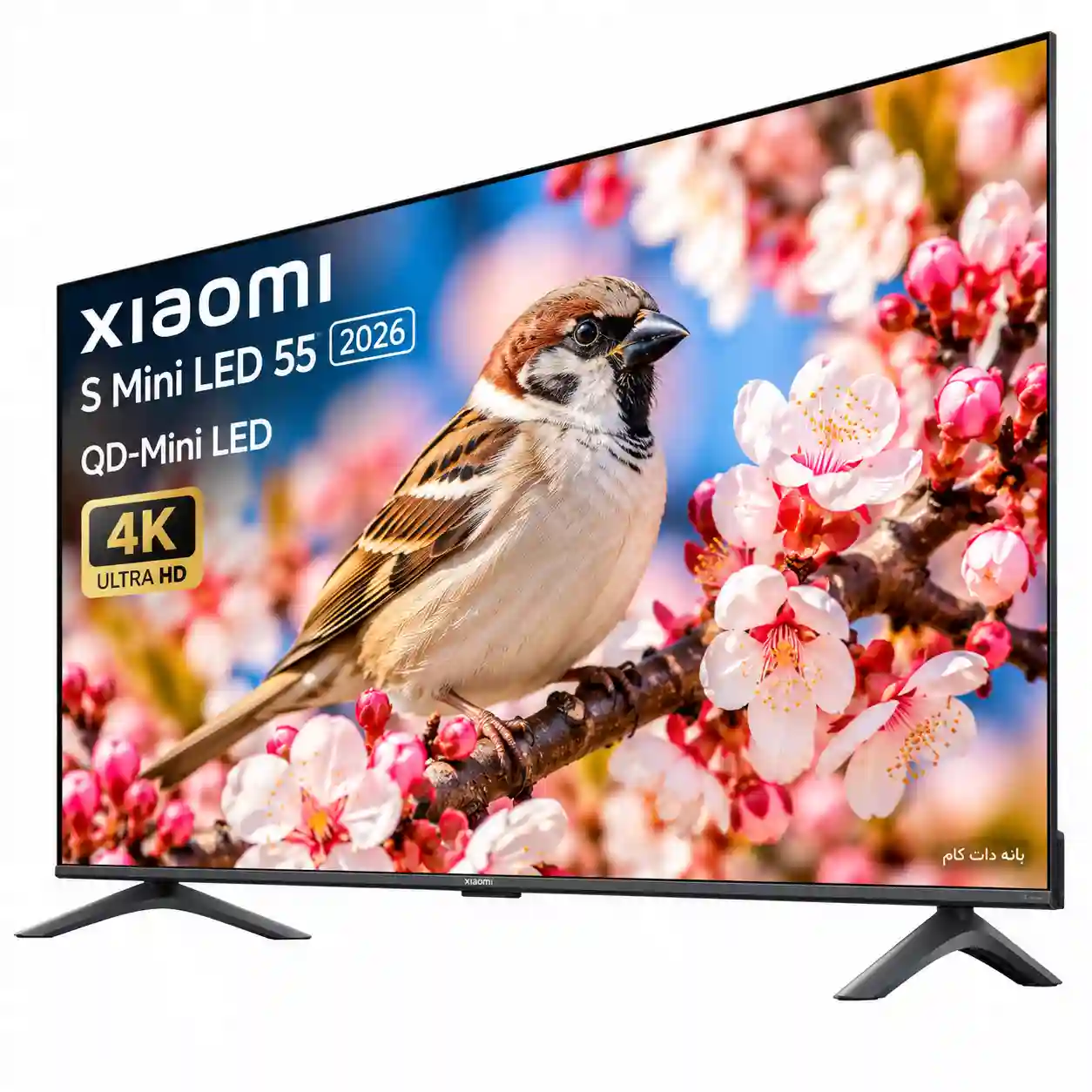 تلویزیون شیائومی 55S MINI 2026