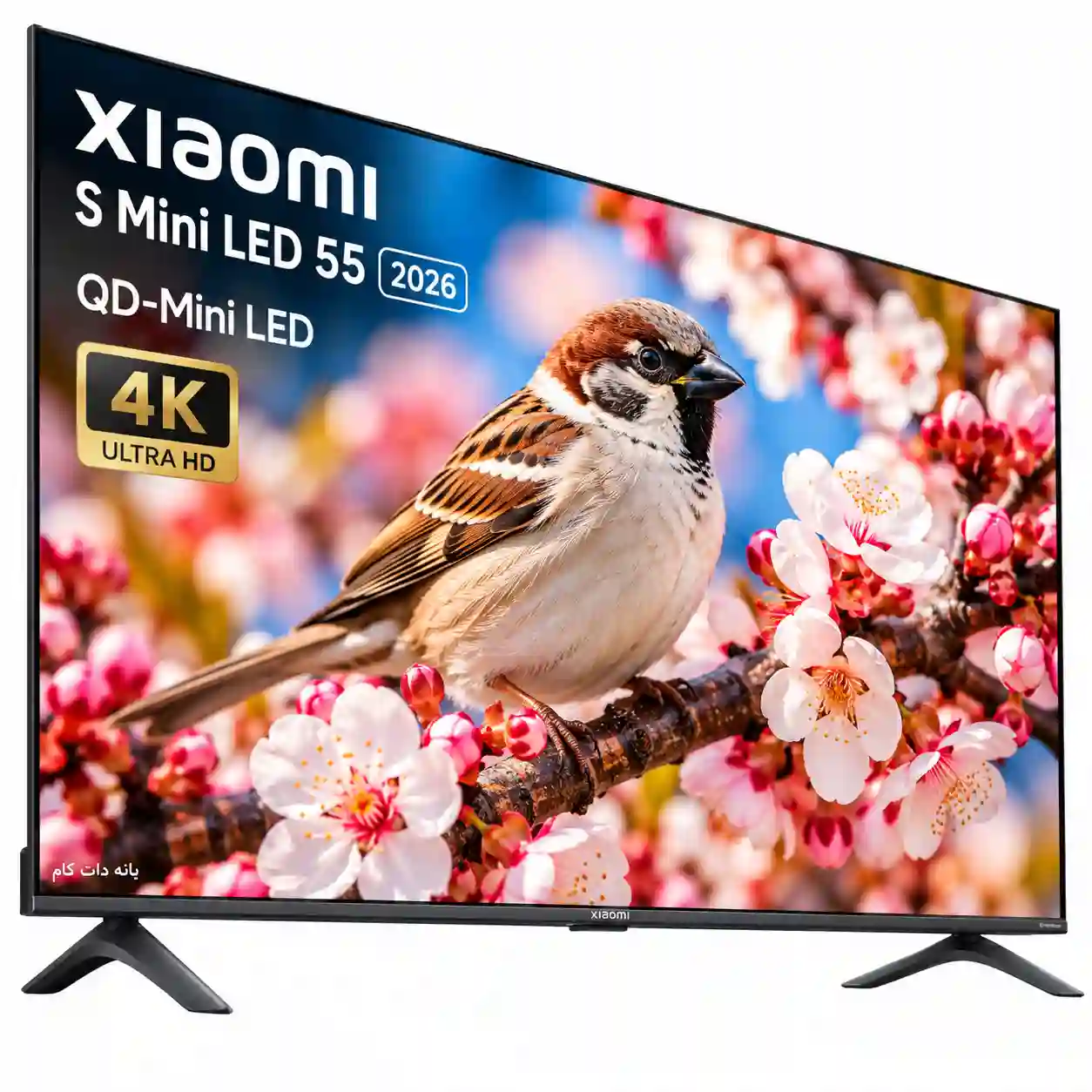 تلویزیون شیائومی 55S MINI 2026