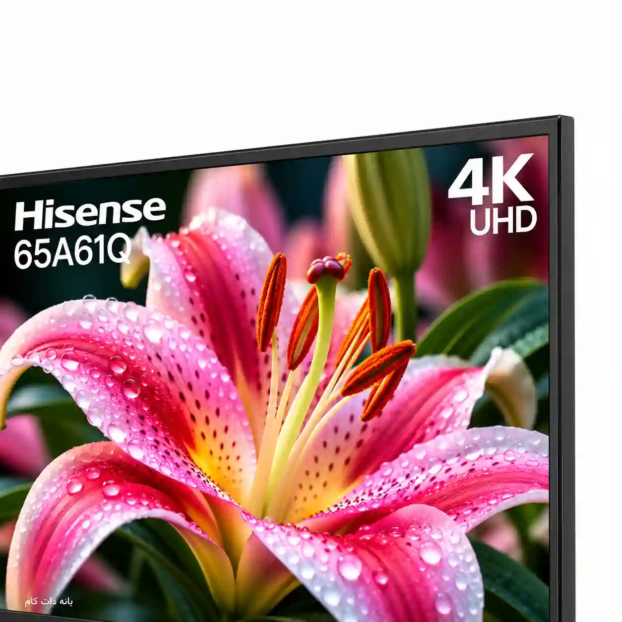تلویزیون هایسنس 65A61Q