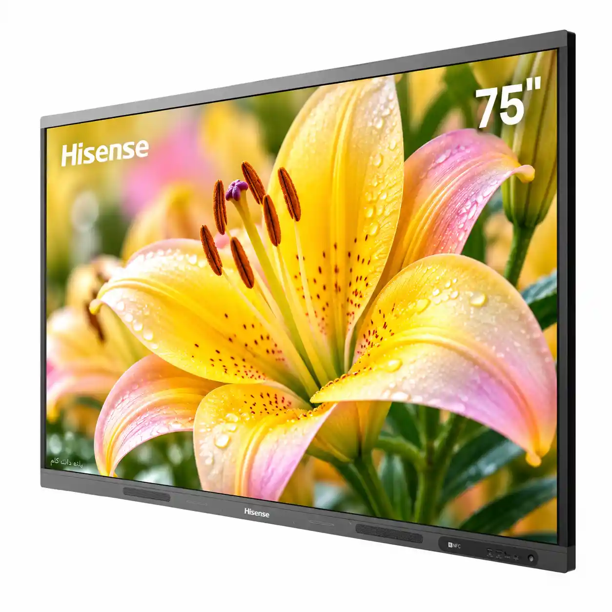 تلویزیون لمسی هایسنس 75WM6FE