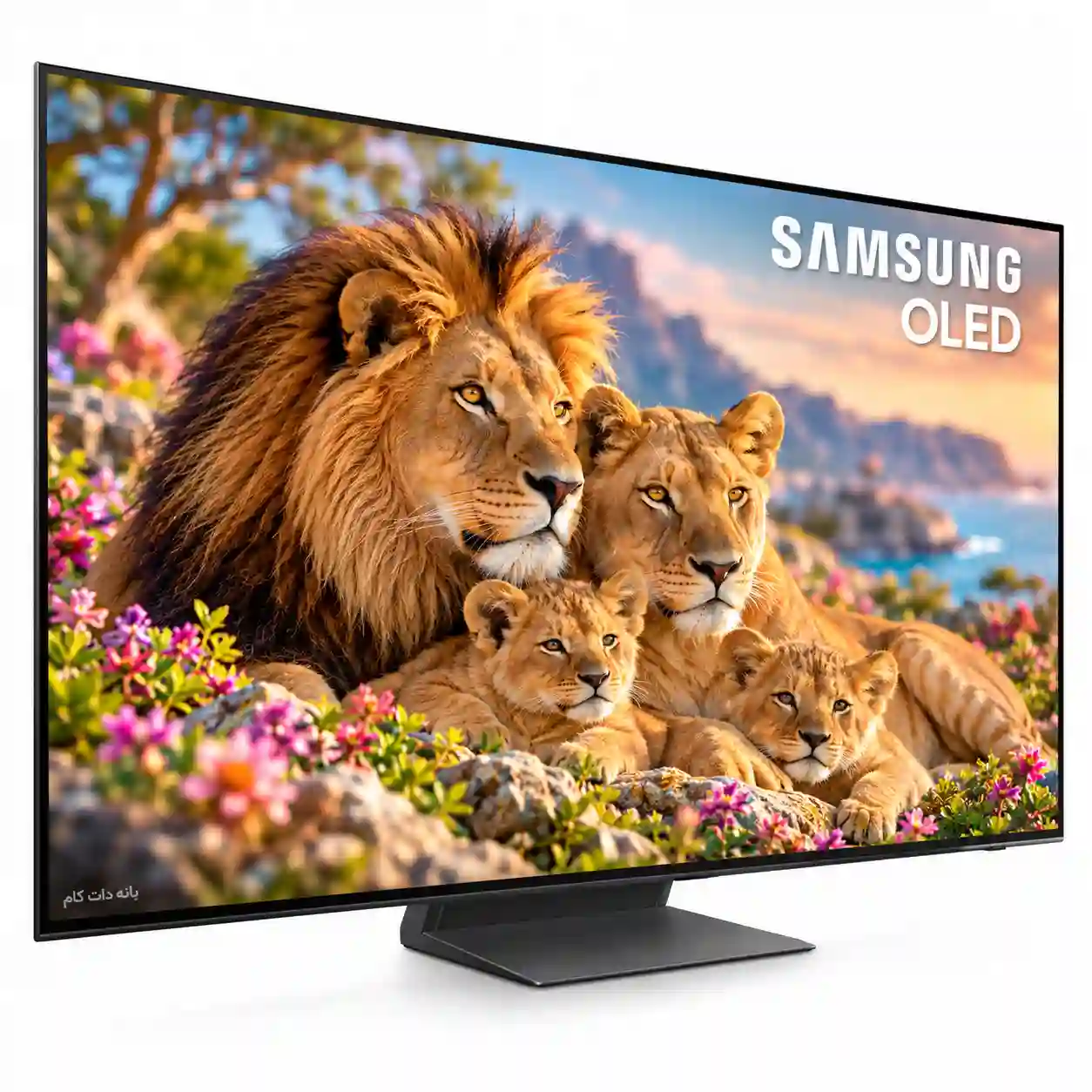 تلویزیون سامسونگ 77S90H