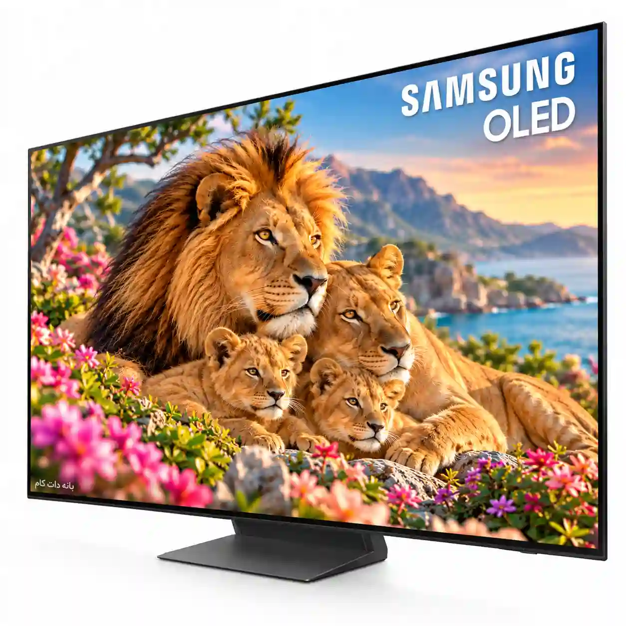 تلویزیون سامسونگ 77S90H